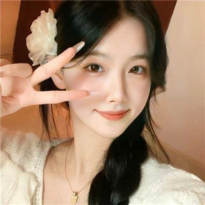监察局长